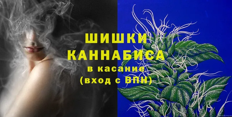 Бошки Шишки OG Kush  Болотное 